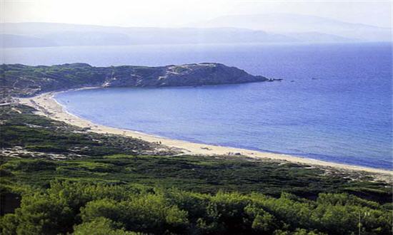 στροφιλια
